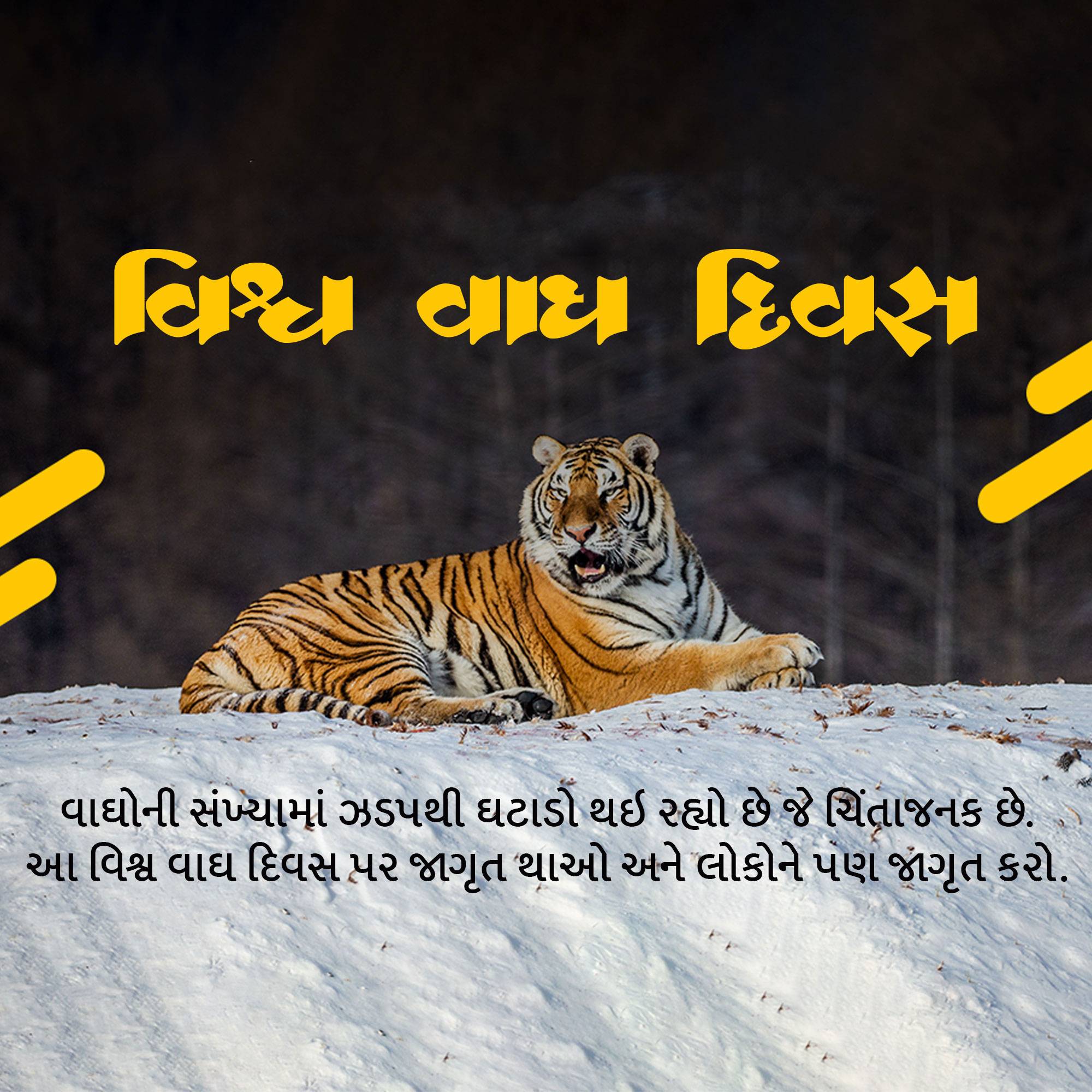 International Tiger Day