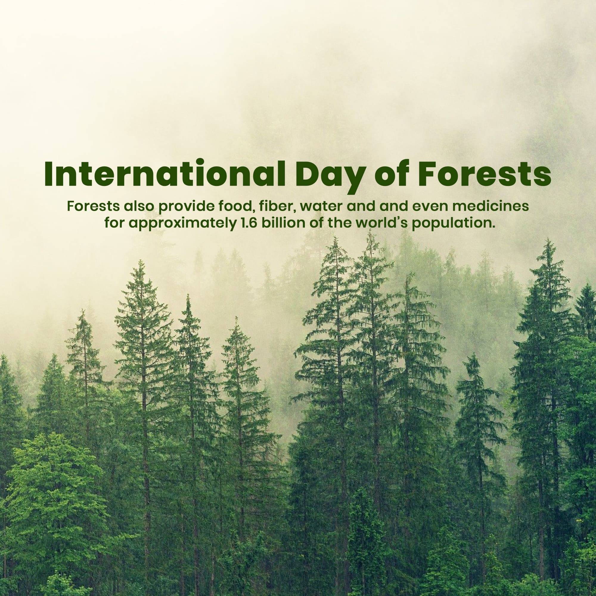 International Day of Forests