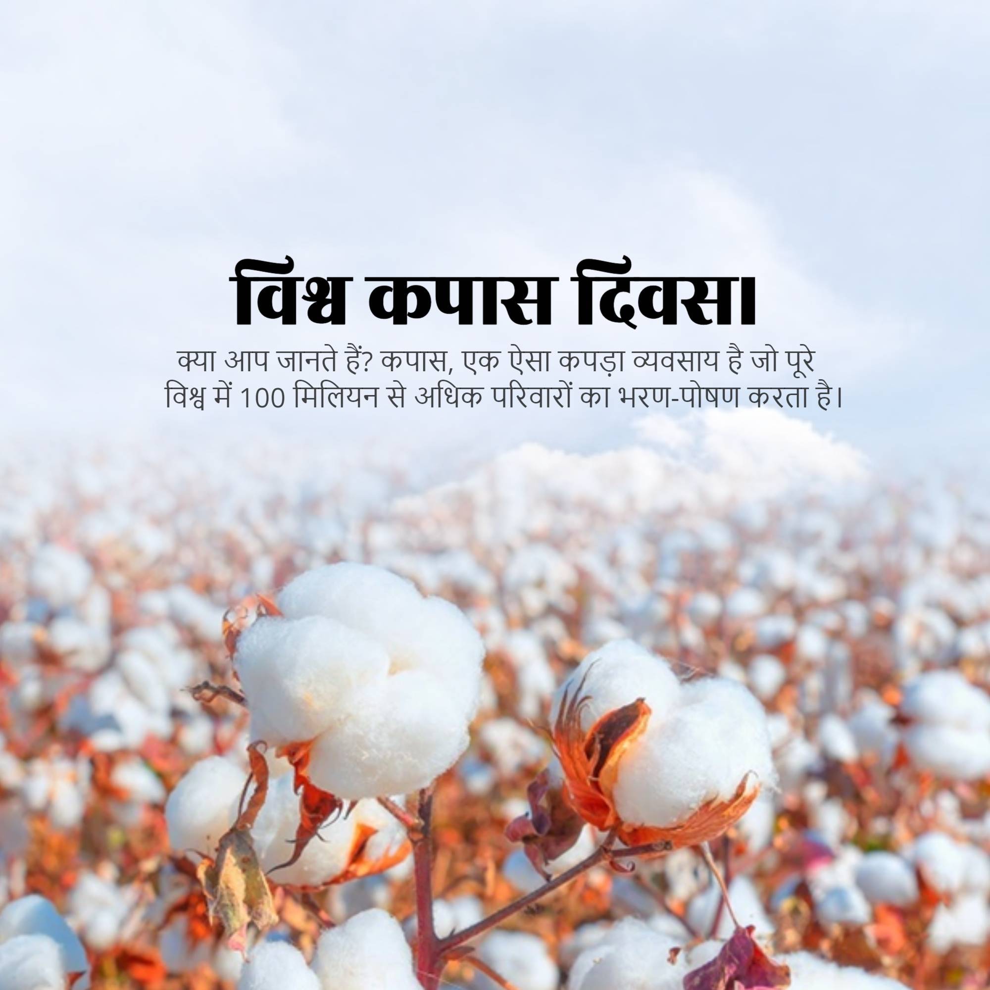 World Cotton Day