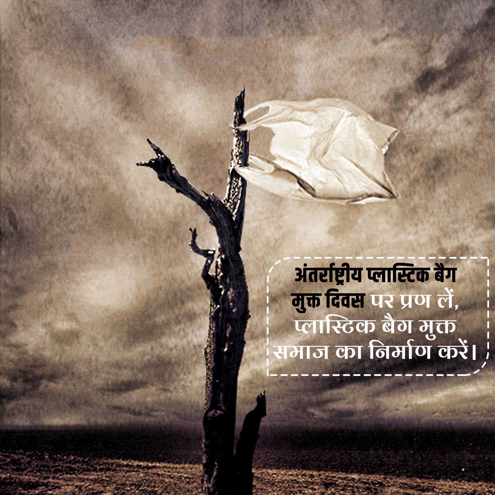 International Plastic Bag Free Day