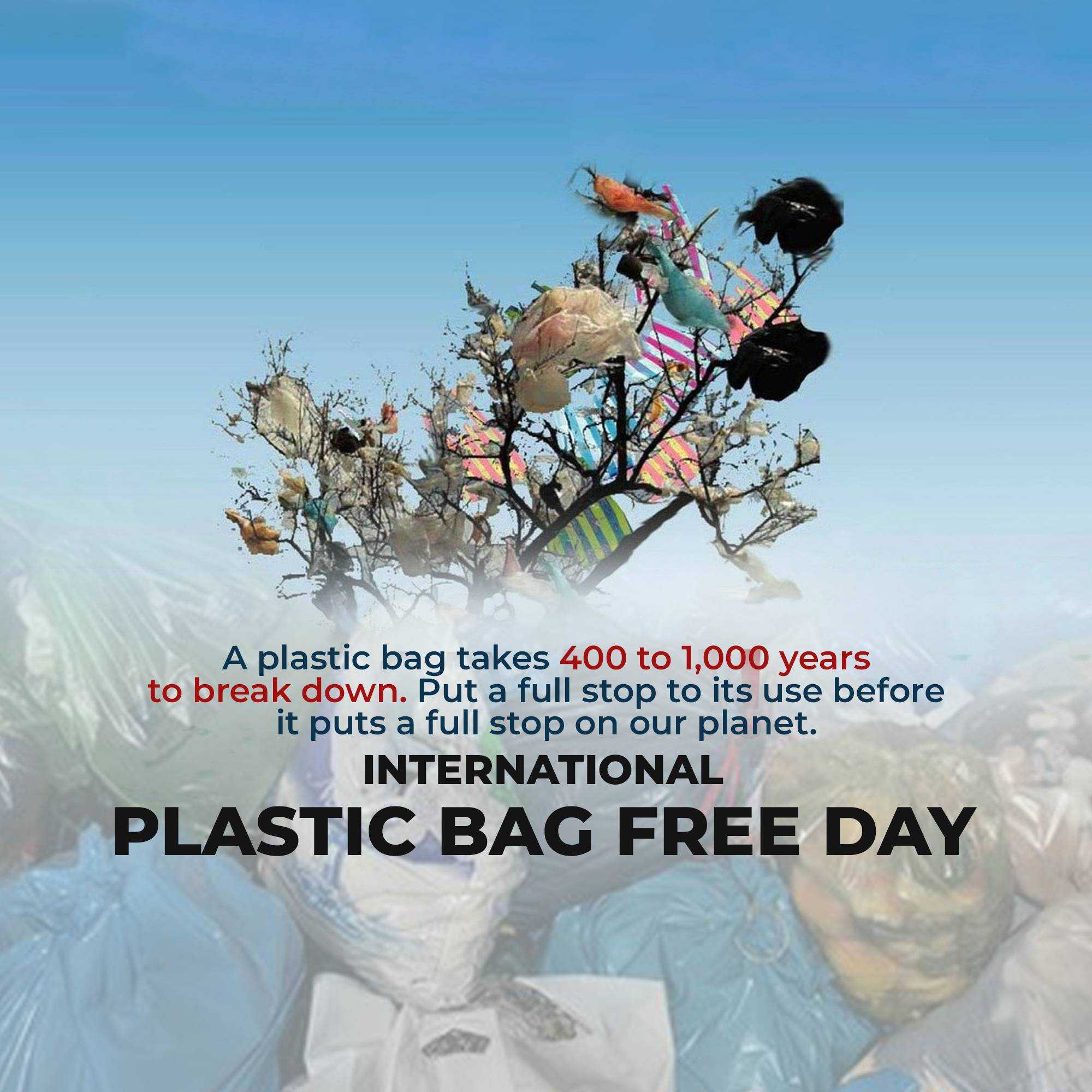 International Plastic Bag Free Day