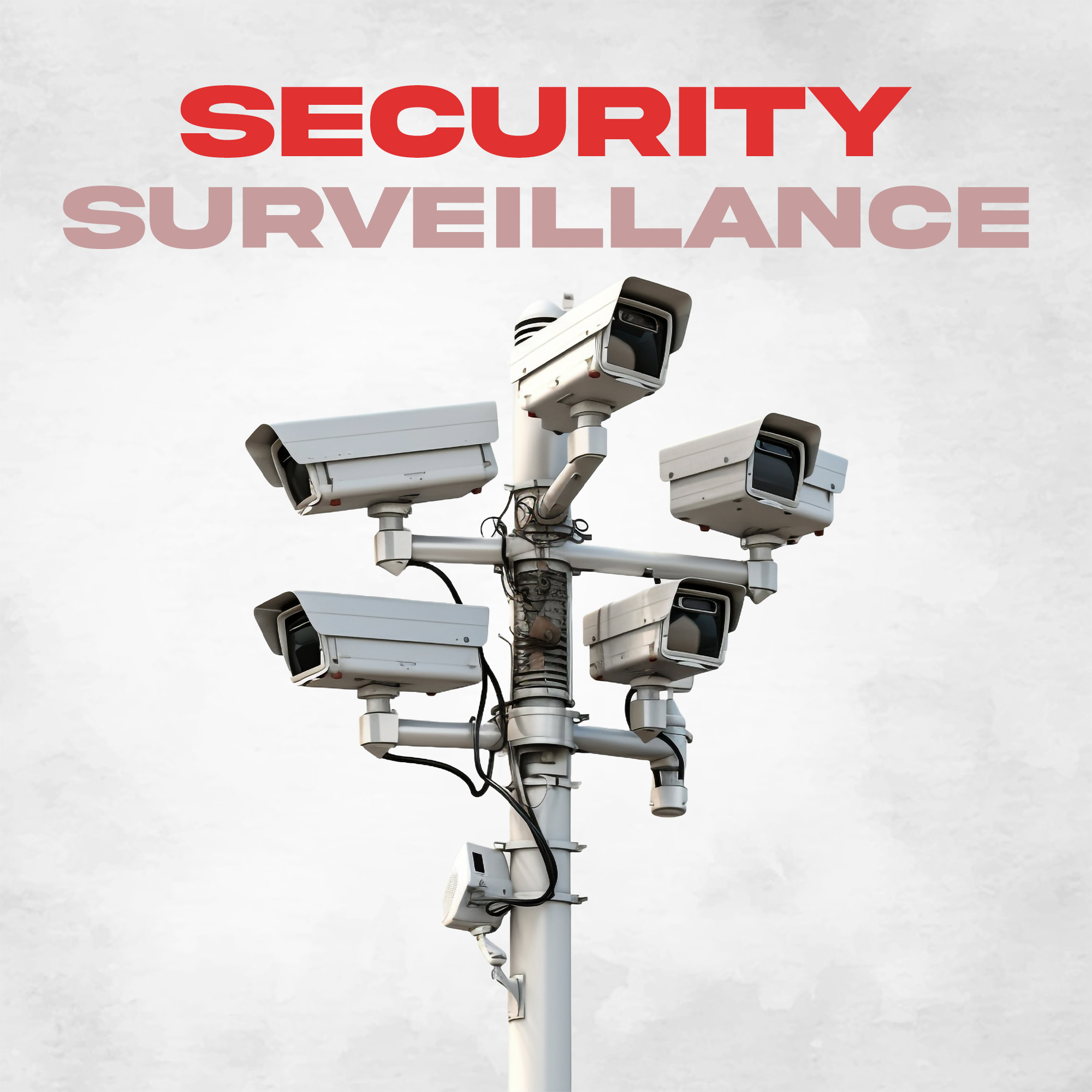 Security Surveillance