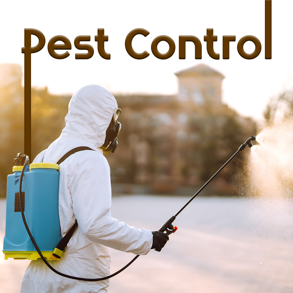 Pest Control