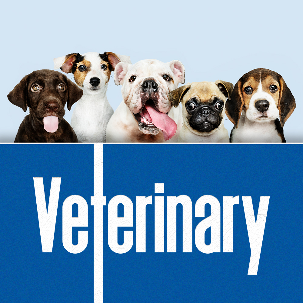 Veterinary