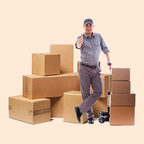 Packers and Movers