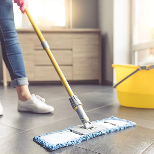 House Cleaning Services