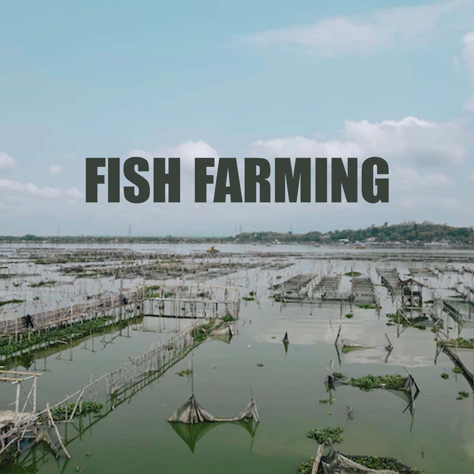 Fish Farming