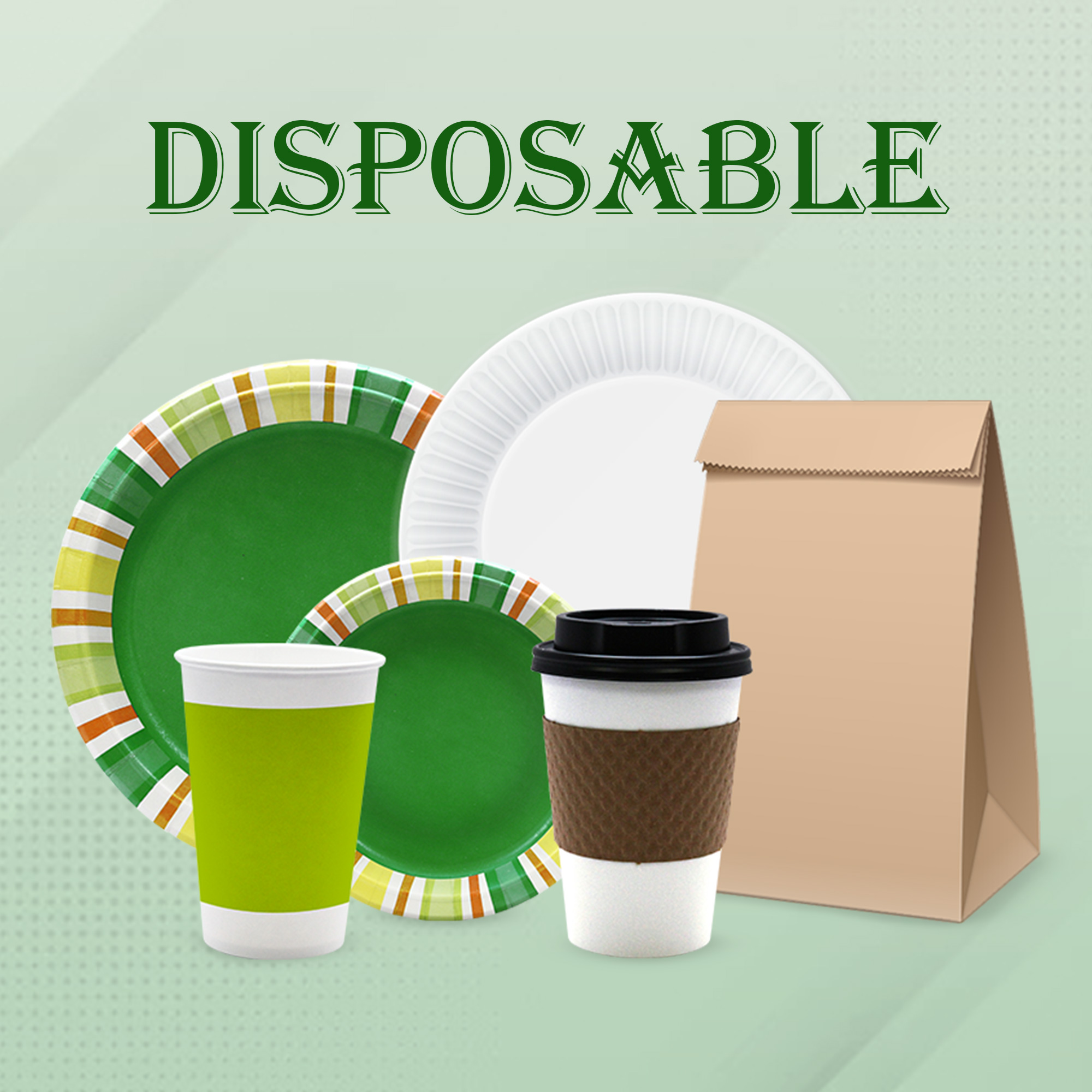 Disposable Items