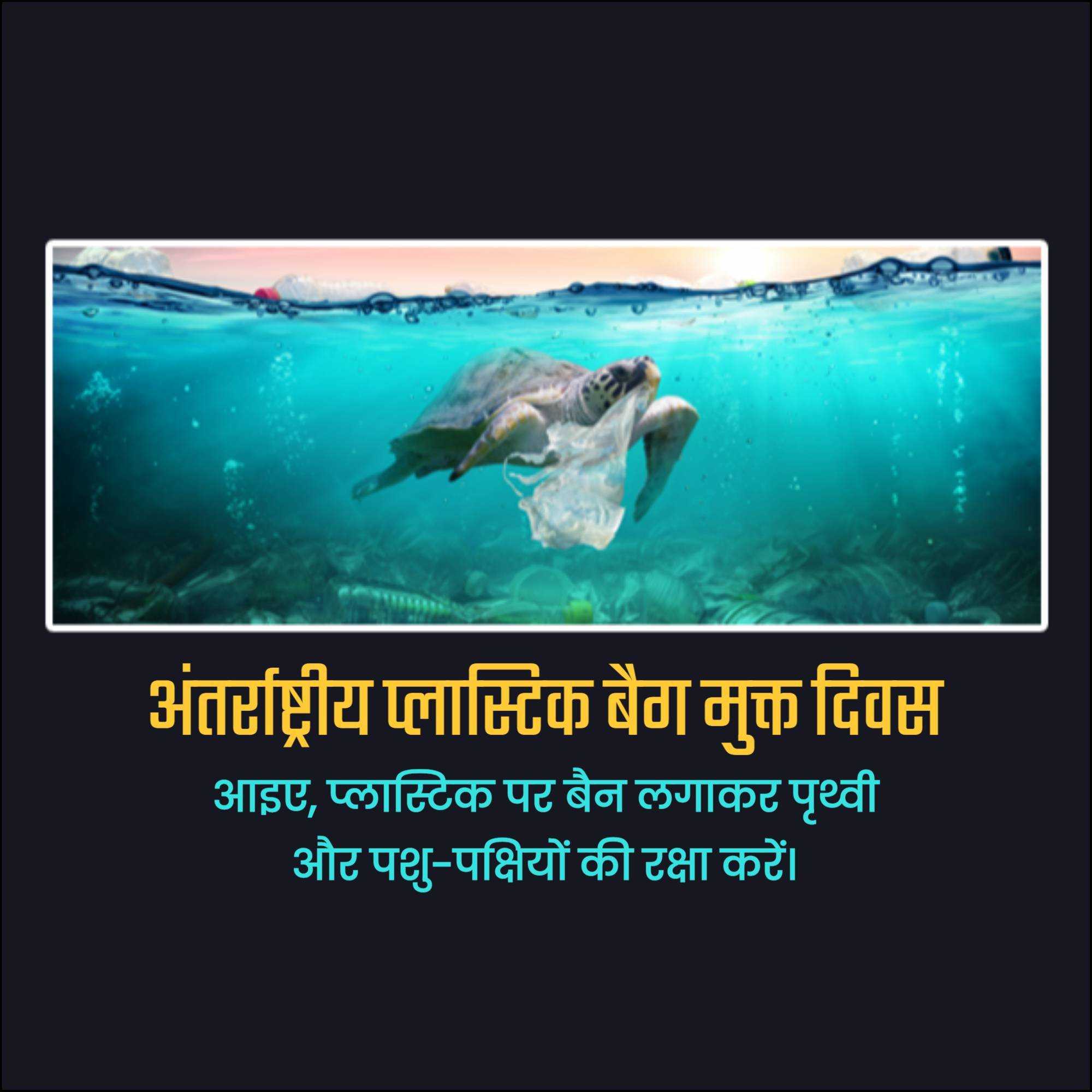 International Plastic Bag Free Day