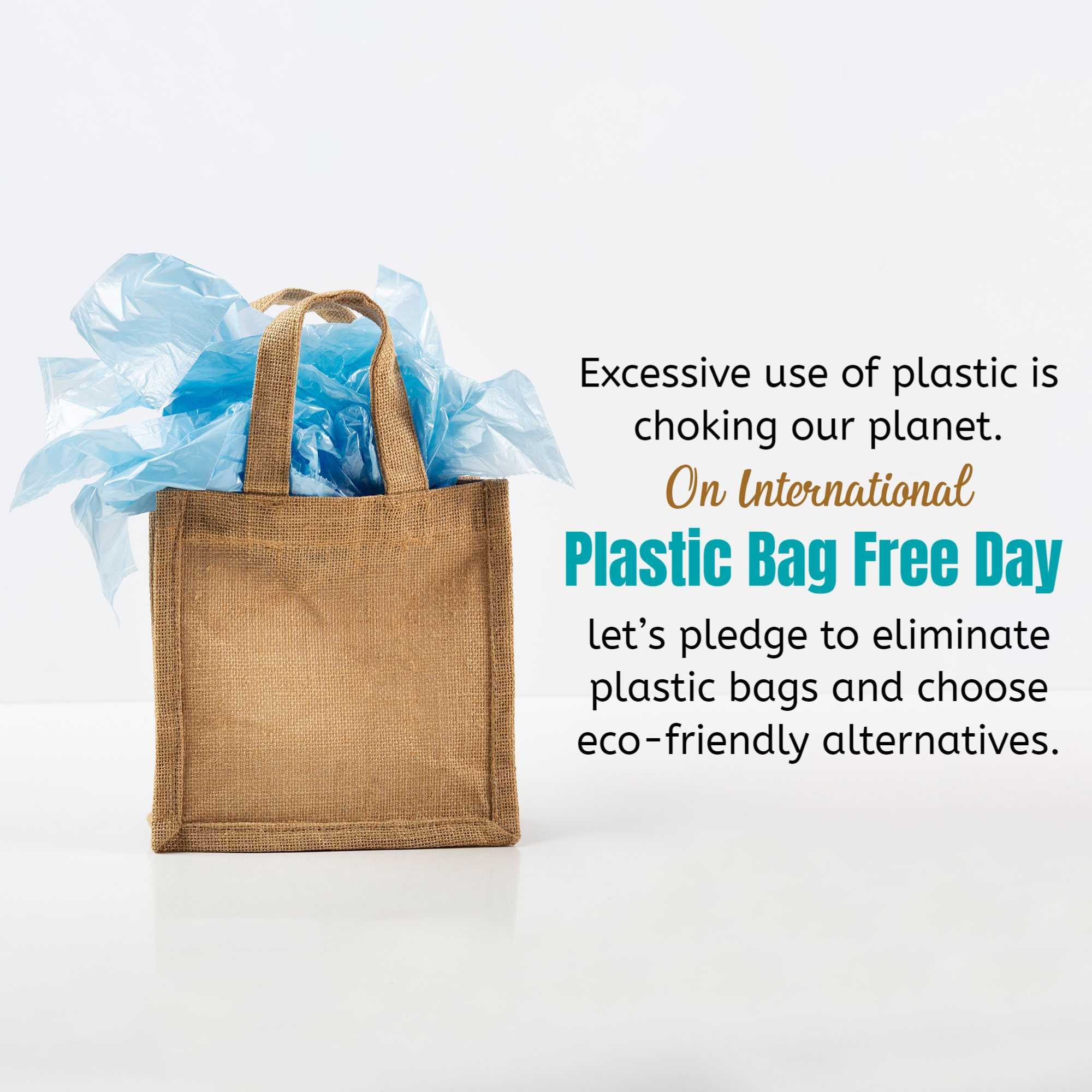 International Plastic Bag Free Day